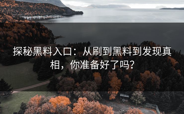 探秘黑料入口:从刷到黑料到发现真相,你准备好了吗? 第1张 探秘黑料入口:从刷到黑料到发现真相,你准备好了吗? 第1张